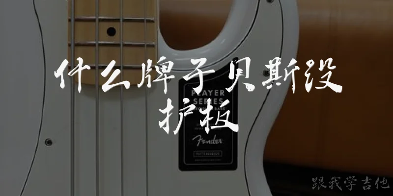 Which bass brands have no pickguard
